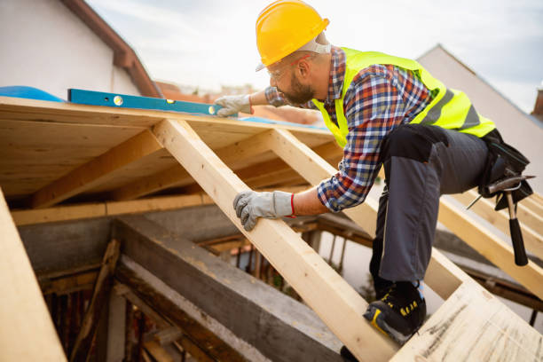 Best Roof Gutter Cleaning  in Eunice, LA
