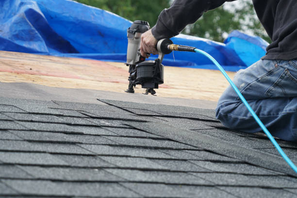 Best Roof Gutter Cleaning  in Eunice, LA